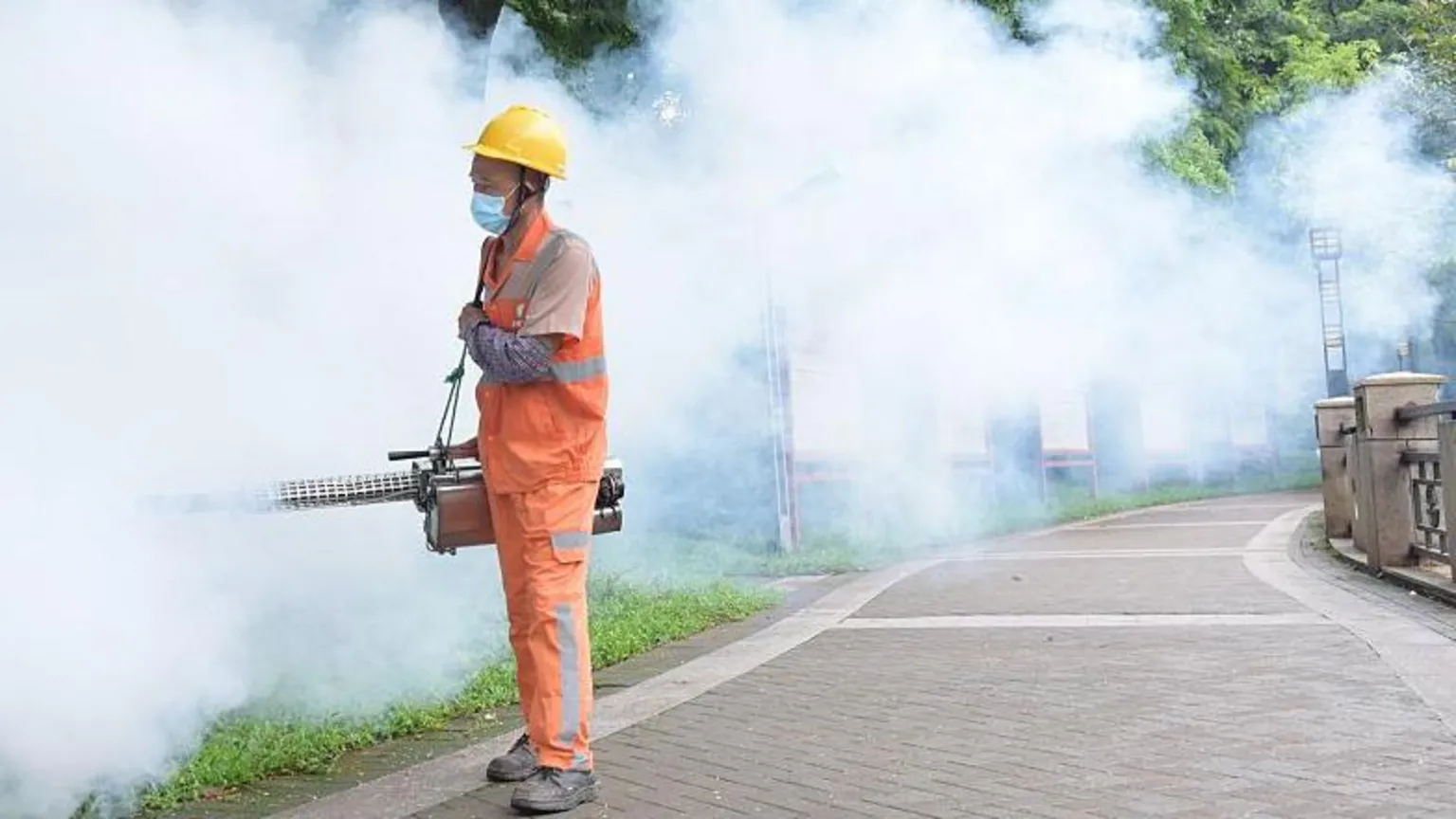 China Reports Over 7,000 Chikungunya Virus Cases in Major Outbreak
